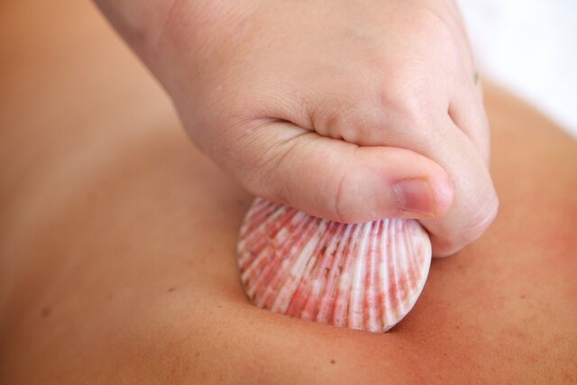 lava shell massage insurance
