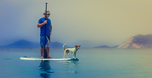 Paddbleboard Yoga Insurance